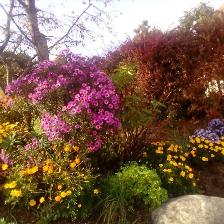 De La Belle Vallee *