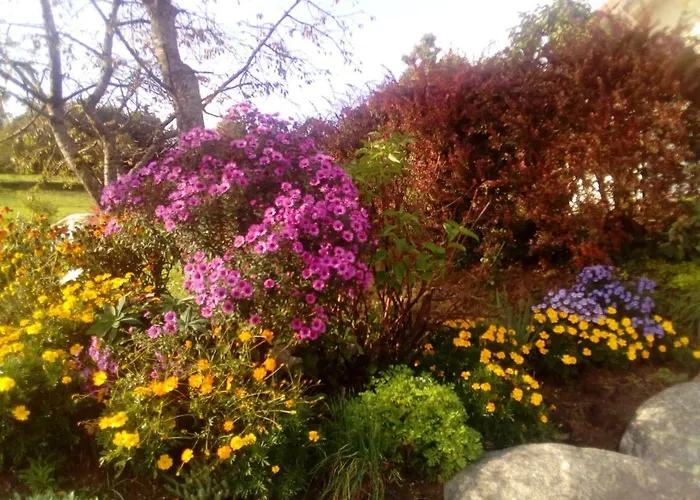 De La Belle Vallee *