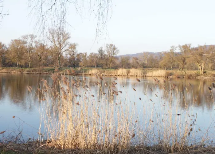 度假居 De La Belle Vallee Cleurie