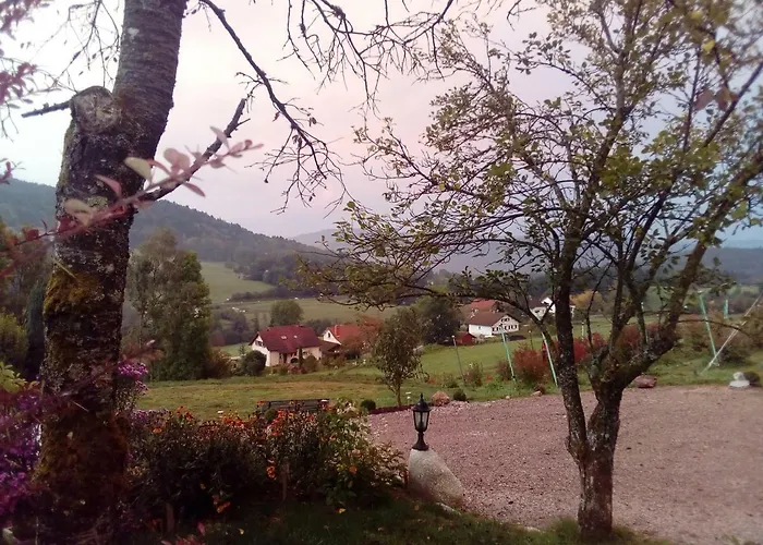 De La Belle Vallee 度假居 Cleurie